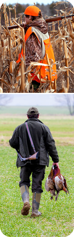 men hunting upland birds