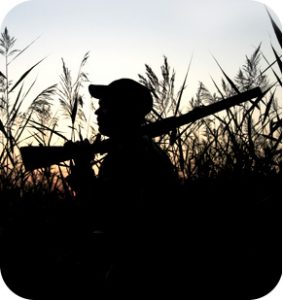 Silhouette of a hunter in a marsh