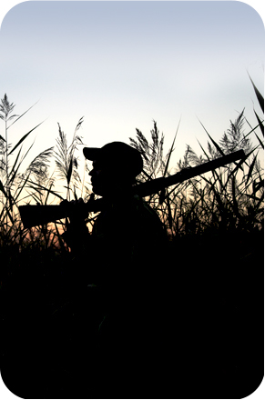 a silhouette of a hunter in the marsh at dawn 