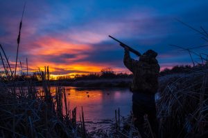 hunting at sunrise at M&M Hunting & Sporting Clays