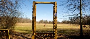 Sporting Clays Shooting Post image